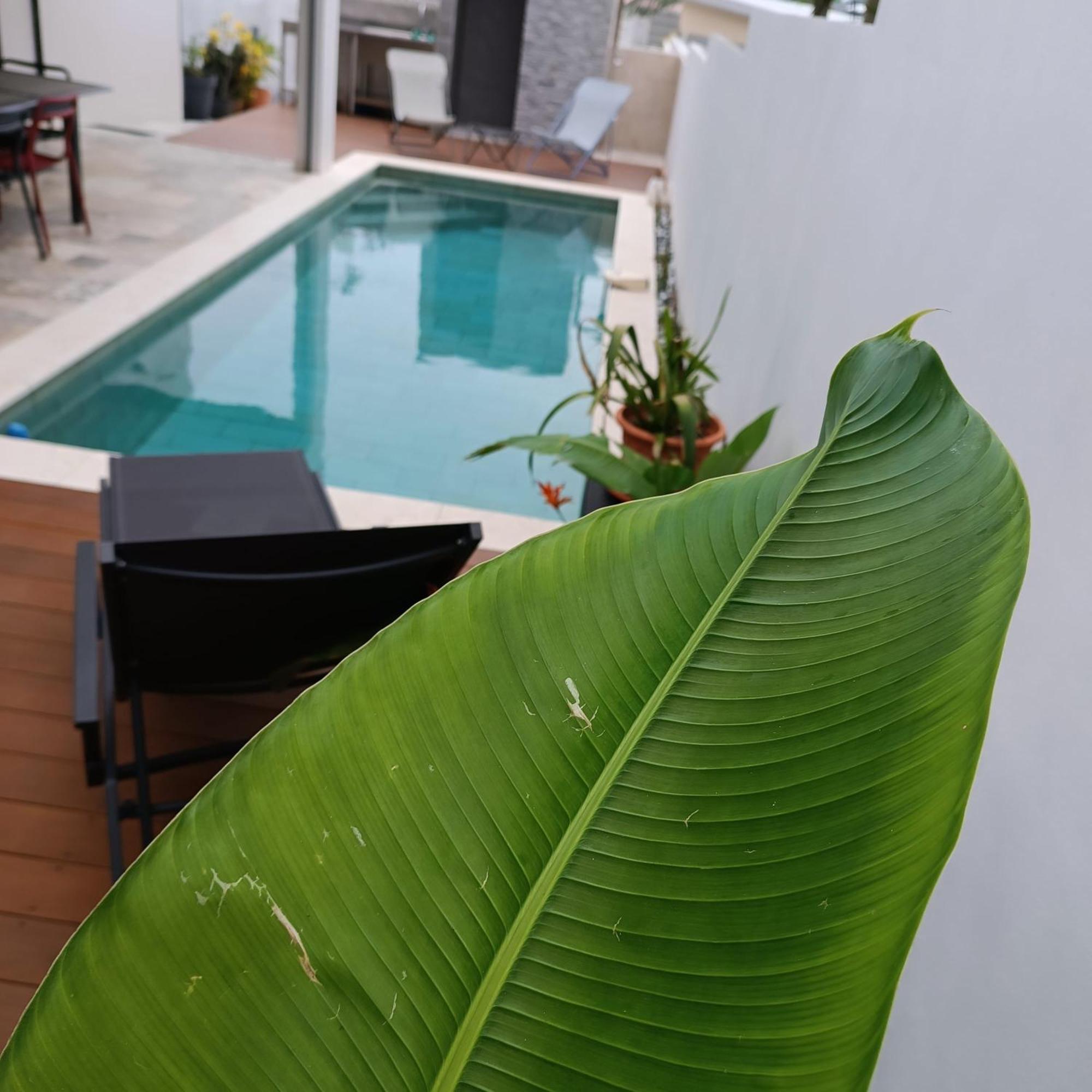 Villa O'Lhaya Piscine Pivee Saint-Joseph Exterior photo